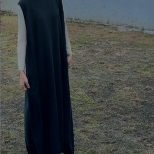 Lylia Sleeveless Dress